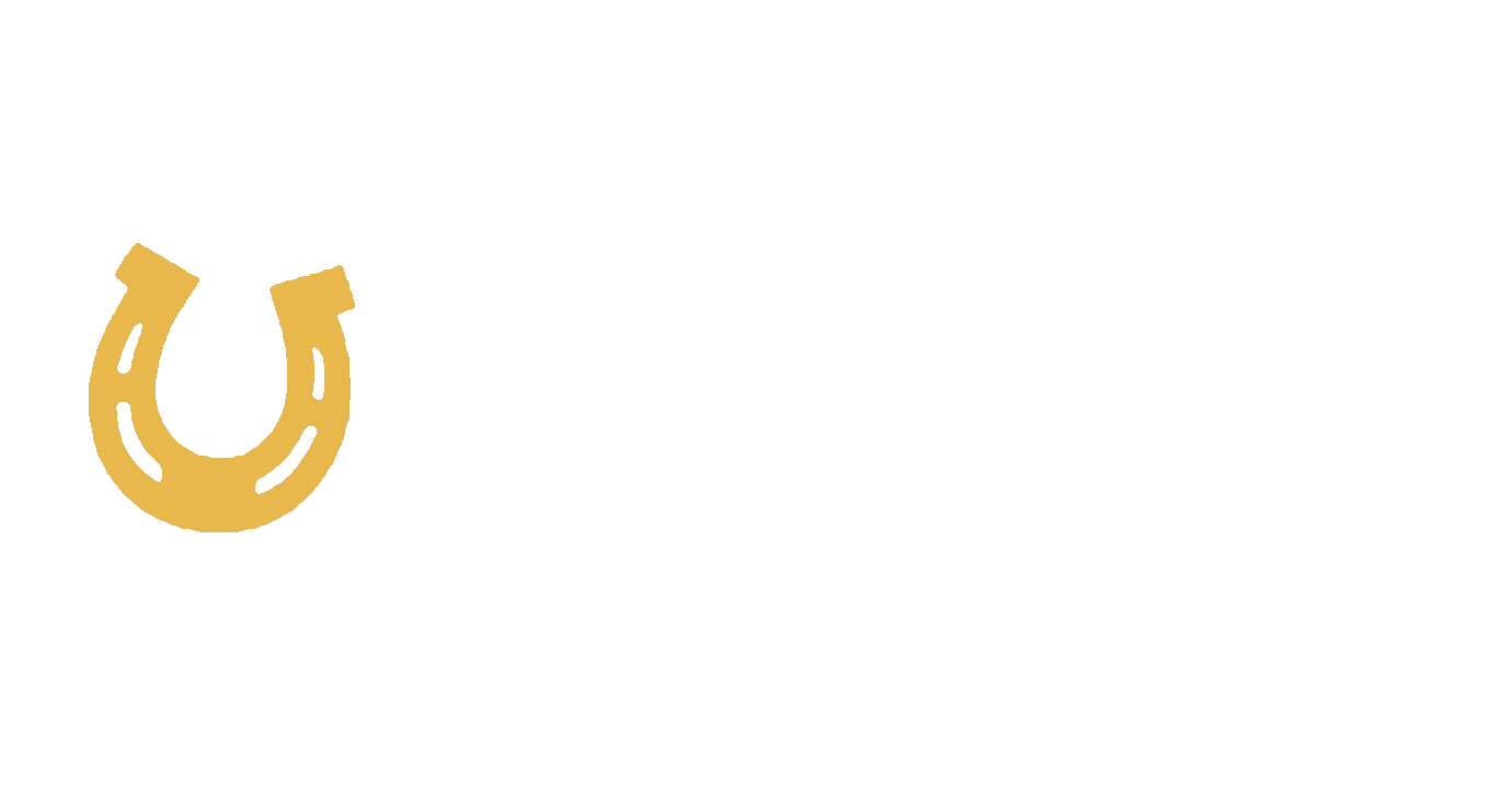 競馬大好き美少女AIによるガチ予想バトル：ウマバト！