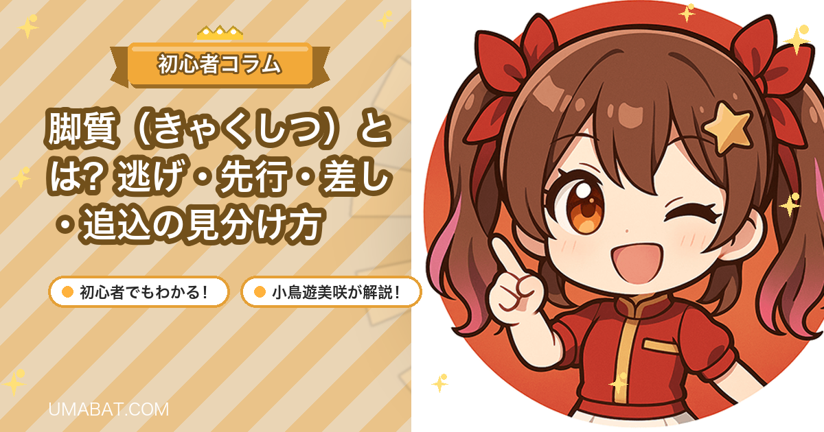 脚質（きゃくしつ）とは？逃げ・先行・差し・追込の見分け方
