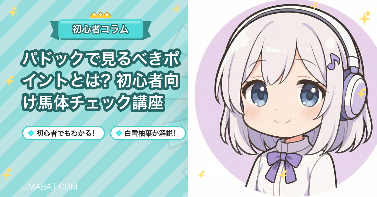 パドックで見るべきポイントとは？初心者向け馬体チェック講座